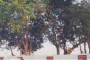 মৌলভীবাজারে বাল্য বিয়েকে লাল কার্ড দেখাল পল্লী সমাজের সদস্যরা