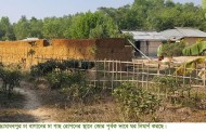 কমলগঞ্জের মাধবপুর চা-বাগানের প্লান্টেশন এলাকা দখল করে ঘর নির্মাণ