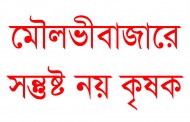 মৌলভীবাজারে বোরো ধান উৎপাদন নিয়ে সন্তুষ্ট নয় কৃষকরা
