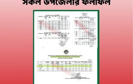 মৌলভীবাজারের সকল উপজেলার এস এস সি / সমমান পরিক্ষার ফলাফল
