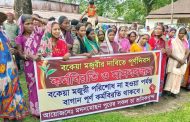 বকেয়া মজুরির দাবিতে দুই চা-বাগানে শ্রমিকদের কর্মবিরতি