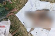 জুড়ীতে সিএনজি চালকের গলাকাটা মরদেহ উদ্ধার