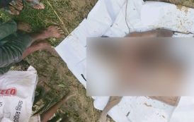 জুড়ীতে সিএনজি চালকের গ/লা/কা/টা ম/র/দে/হ উদ্ধার