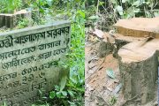 লাউয়াছড়ায় পাহারার মধ্যেই সেগুন গাছ উধাও
