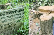 লাউয়াছড়ায় পাহারার মধ্যেই সেগুন গাছ উধাও