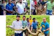 মানুষের বসতিতে বন্যপ্রাণীর আনাগোনা