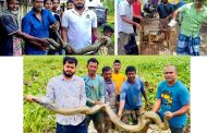 মানুষের বসতিতে বন্যপ্রাণীর আনাগোনা