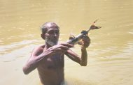 ধলাই নদীতে বিষ দিয়ে মাছ নিধন, স্বাস্থ্যঝুঁকিতে স্থানীয়রা