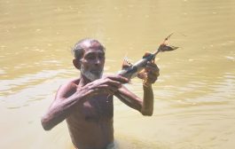 ধলাই নদীতে বিষ দিয়ে মাছ নিধন, স্বাস্থ্যঝুঁকিতে স্থানীয়রা