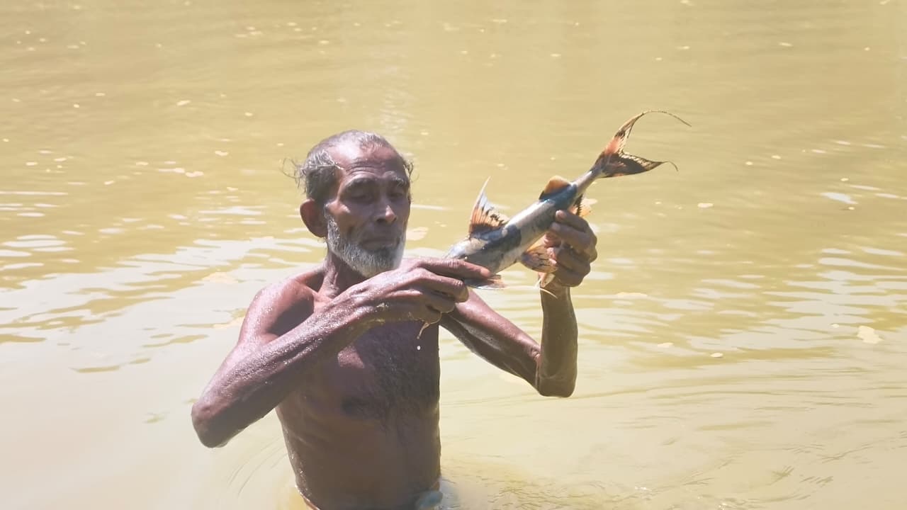 ধলাই নদীতে বিষ দিয়ে মাছ নিধন, স্বাস্থ্যঝুঁকিতে স্থানীয়রা