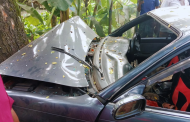 শ্রীমঙ্গলে গাছের সঙ্গে প্রাইভেটকারের ধাক্কা, প্রাণ গেল ৩ বছরের শিশুর