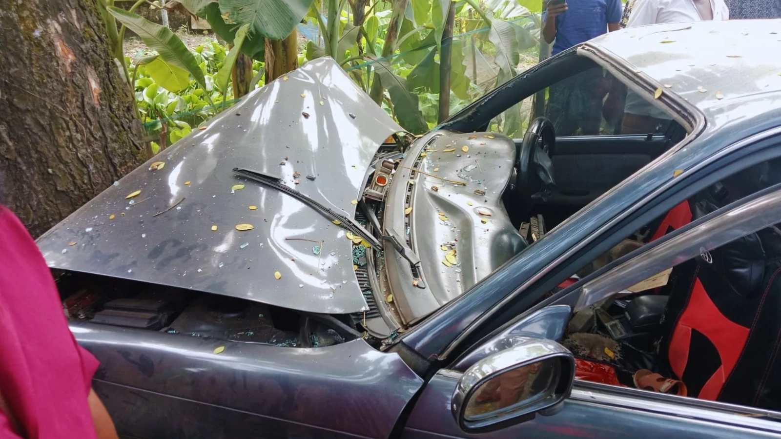 শ্রীমঙ্গলে গাছের সঙ্গে প্রাইভেটকারের ধাক্কা, প্রাণ গেল ৩ বছরের শিশুর