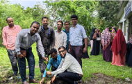 কমলগঞ্জে পল্লী সঞ্চয় ব্যাংকের উদ্যোগে বৃক্ষরোপন ও চারা বিতরণ